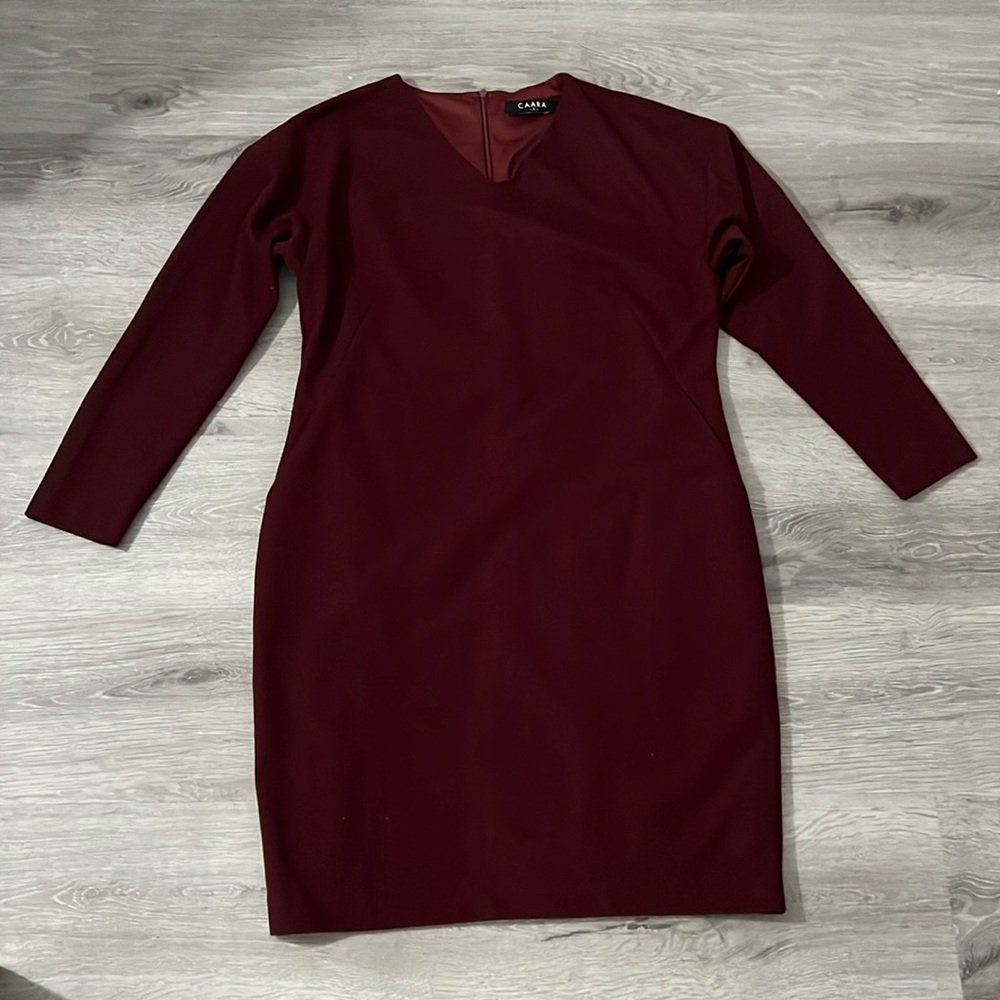 Caara Burgundy Dress